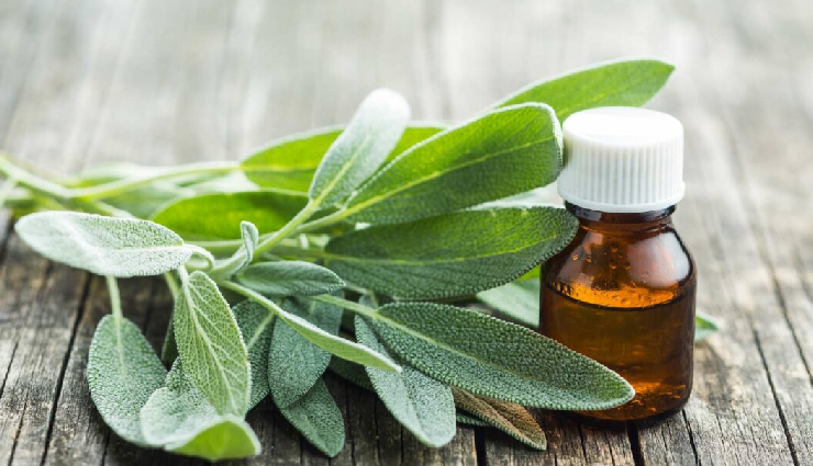 healthy hair oils,nourishing hair oils,hair care oil varieties,essential oils for hair health,best oils for healthy hair,natural oils for hair care,hair-boosting oil options,oils promoting hair wellness,hair care with natural oils,hair-nurturing oil types,hair growth oils,hydrating hair oils,oils for scalp health,moisturizing hair oils,revitalizing hair oils,repairing hair oils,strengthening hair oils,restorative hair oils,protective hair oils,balancing hair oils