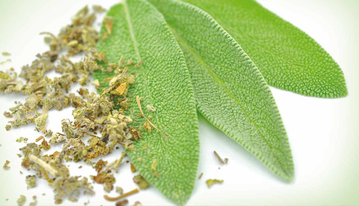 conditioning herbs,herbs for gorgeous hair,beauty tips,tips for conditioning hair,hair care tips