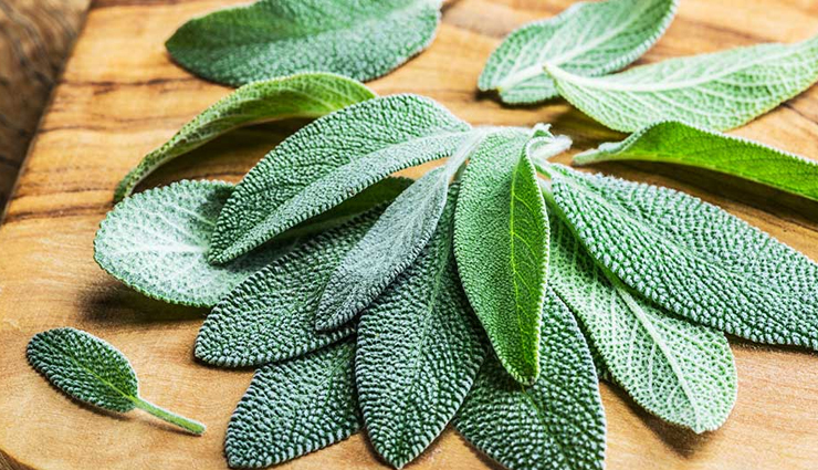 home remedies for sweating smell,natural remedies for body odor,how to get rid of underarm odor naturally,diy remedies for sweat smell,remedies for excessive sweating and body odor,home treatments for smelly feet,essential oils for body odor,natural deodorants for sweating smell,foods that help eliminate sweating smell,home remedies for perspiration odor