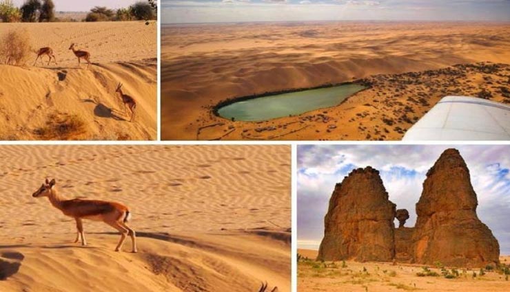weird news,weird desert,sahara desert,mysterious desert,largest hot desert ,अनोखी खबर, अनोखा रेगिस्तान, सहारा रेगिस्तान, रहस्यमयी रेगिस्तान, सबसे बड़ा मरूस्थल