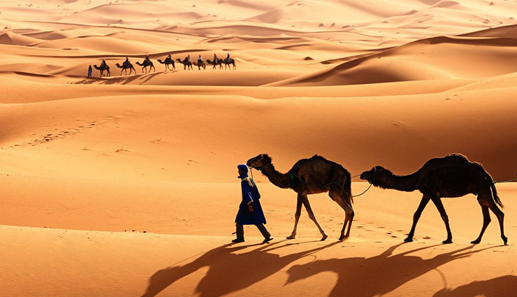 natural wonders of africa,list of natural wonders of africa,wonders of africa,africa tourism,tourist places in africa,nile river,mount kilimanjaro,sahara desert,serengeti migration,ngorongoro crater,okavango delta,red sea reef,travel,holidays,travel guide,travel tips