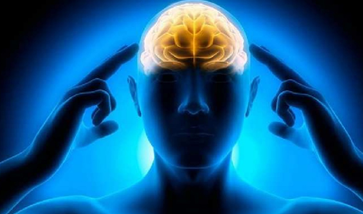 sweet potato is the superfood of winter know its benefits,Health,healthy living