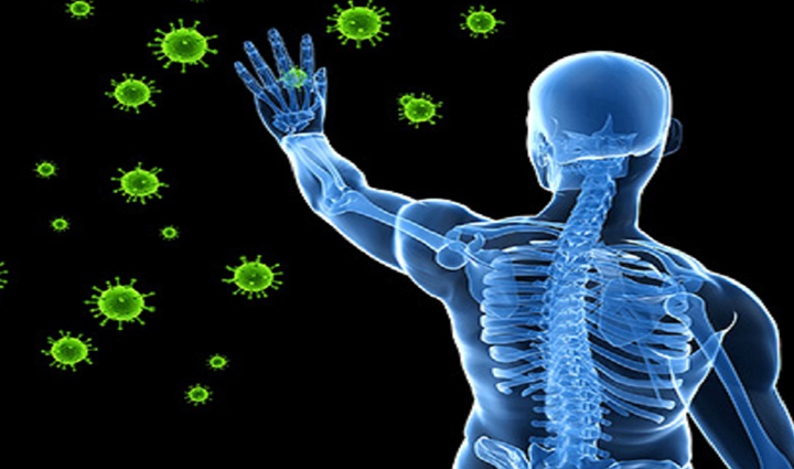 sweet potato is the superfood of winter know its benefits,Health,healthy living