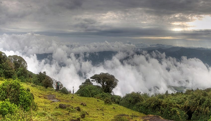 nagarhole,places to visit near nagarhole,coorg tourism,wayanad attractions,mysore sightseeing,bandipur national park safari,ooty hill station,kabini river,madikeri travel,mudumalai national park,sakleshpur,shravanabelagola