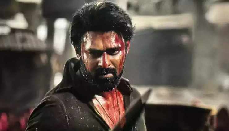 dunki,shahrukh khan,taapsee pannu,rajkumar hirani,vicky kaushal,salaar,prabhas,animal,ranbir kapoor,sandeep wanga reddy
