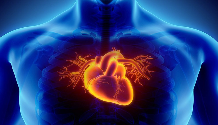 salak fruit,health benefits of salak fruit,Health tips,fitness tips