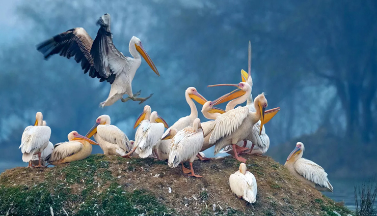 aurangabad,aurangabad tourism,tourist places to visit in aurangabad,best aurangabad tourist places to visit,india tourism,tourist places in aurangabad,travel,holidays