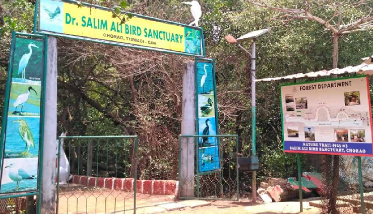 goa trip memorable places,memorable goa trip,hidden gems in goa,dr. salim ali bird sanctuary goa,basilica of our lady of the mount goa,freshwater lake at arambol,tambdi surla temple goa,netravali town goa,netravali wildlife sanctuary goa,goa wildlife encounters,goa jungle treks,arvalem caves goa,lamgau caves goa,rivona caves goa,goa tourist attractions,uncharted places in goa,goa nature spots,goa historic sites,goa jungle lodges,goa cave exploration,goa off-the-beaten-path sights