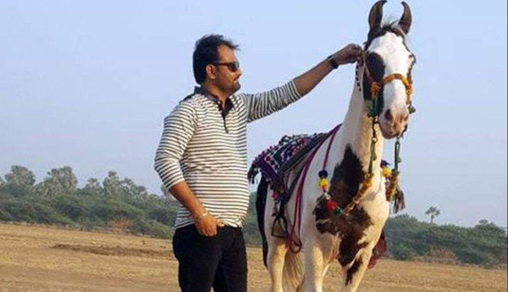 bollywood,Salman Khan,bollywood news,tiger zinda hai,race 3