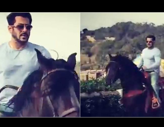 Video : 'टाइगर जिंदा है' के लिए घुड़सवारी सीख रहे हैं सलमान