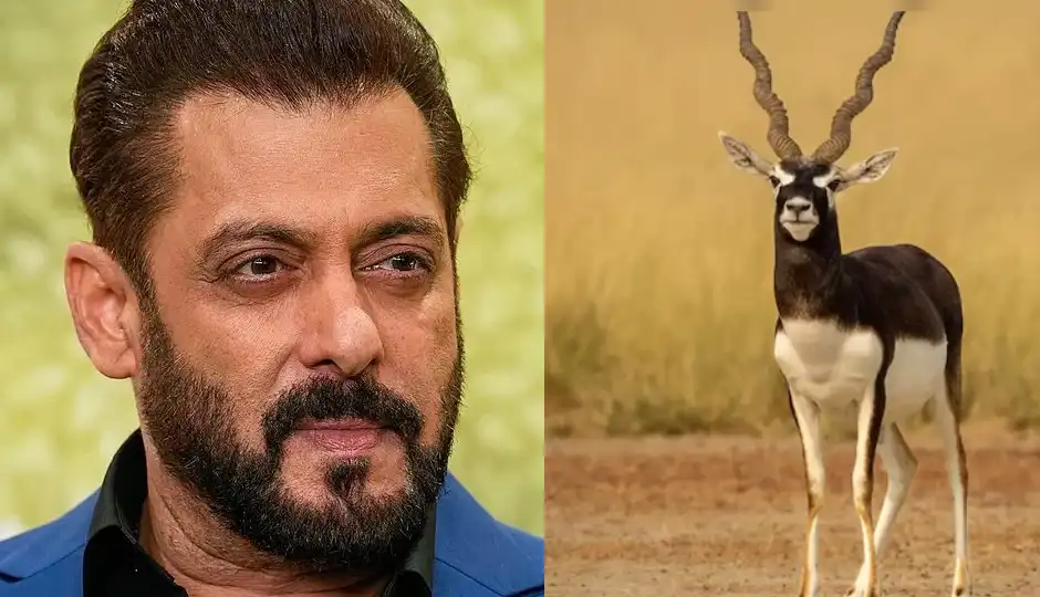 कांकाणी काला हिरण शिकार केस: सलमान खान की अपील पर हाई कोर्ट में फिर टली सुनवाई, अब 13 जुलाई को होगी