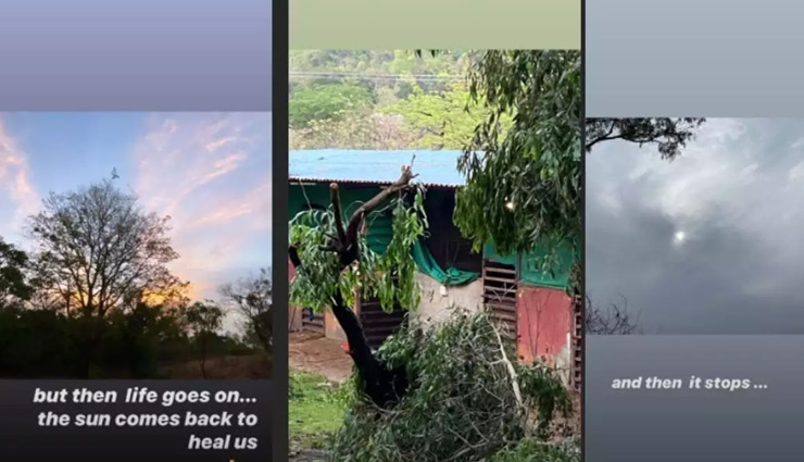 निसर्ग तूफान ने सलमान खान के फार्म हाउस में मचाई तबाही, यूलिया वंतूर ने शेयर की तस्वीरें
