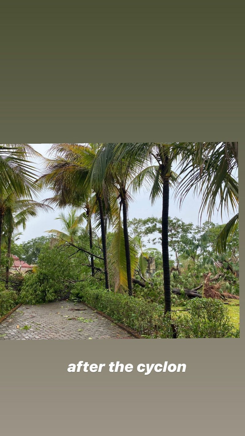 iulia-vantur,cyclone-nisarga,cyclonic-storm,salman-khan,panvel-farmhouse,havoc,devastation,salman khan news,entertainment,bollywood news