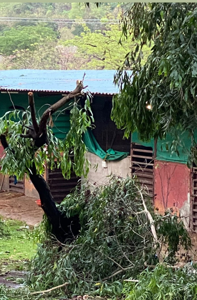 iulia-vantur,cyclone-nisarga,cyclonic-storm,salman-khan,panvel-farmhouse,havoc,devastation,salman khan news,entertainment,bollywood news