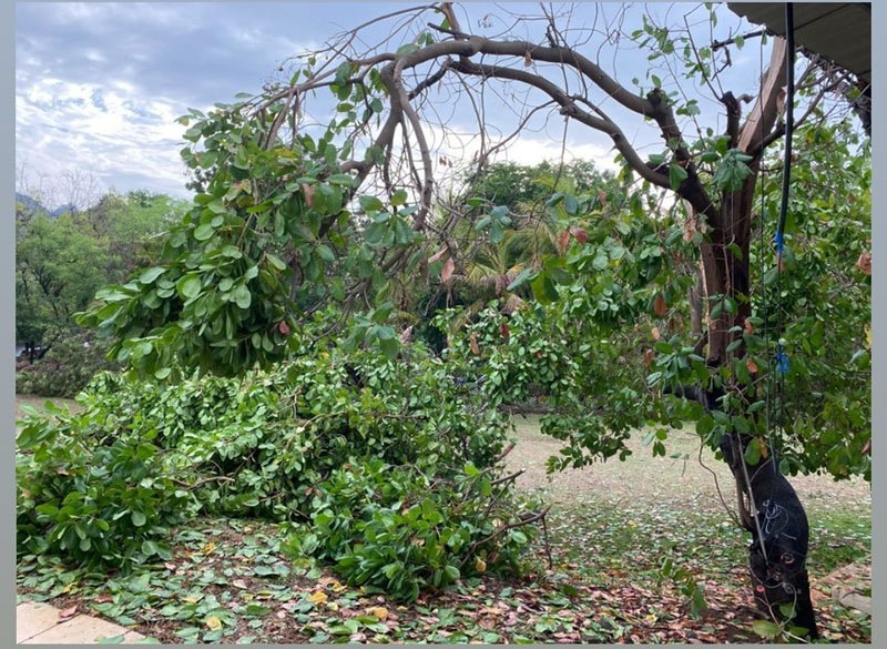 iulia-vantur,cyclone-nisarga,cyclonic-storm,salman-khan,panvel-farmhouse,havoc,devastation,salman khan news,entertainment,bollywood news