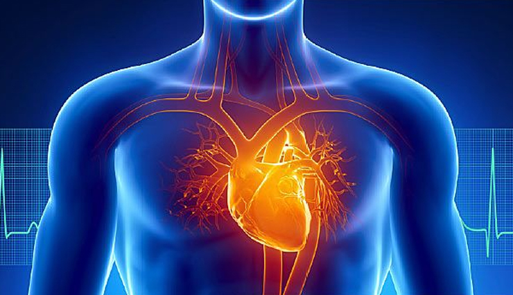 salmon,health benefits of salmon,Health tips,fitness tips