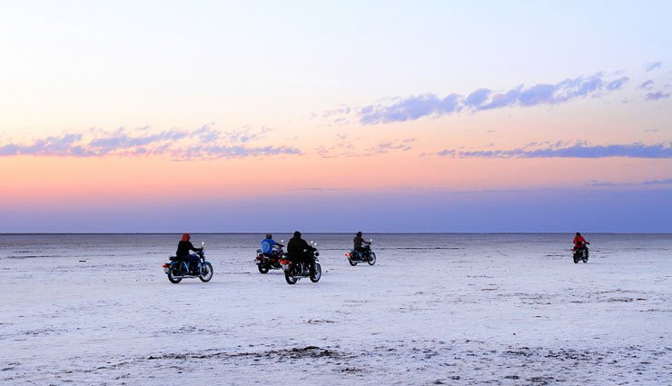 unexplored places of india,india,salt desert of rann,trap of forest hill caves,swamp forest sundarbans,himalayan ice mountains,ocean of arid sand