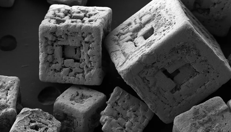 microscopic pictures,the amazing world through microscope