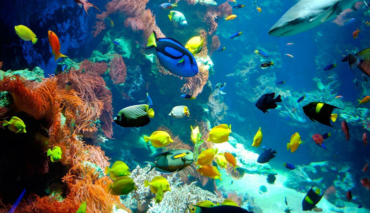 salzburg,things to do in salzburg,places to visit in salzburg