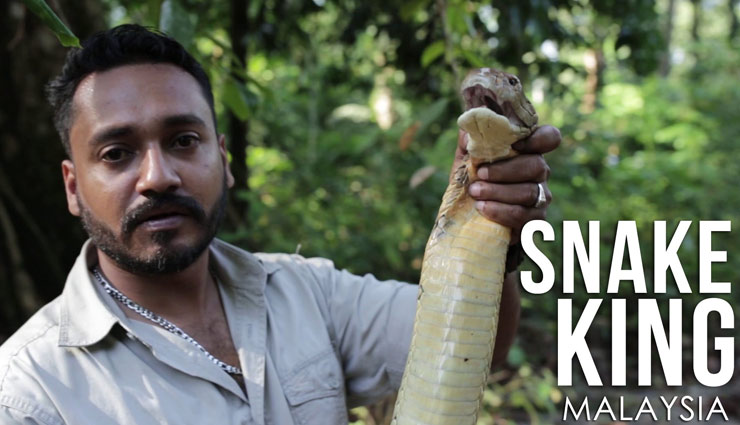 trainers who killed by their animals,animals who killed their owners,zoo animals who killed their traines