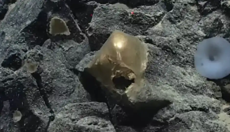 समुद्र की गहराइयों में मिला ‘रहस्यमयी सुनहरा गोला’, क्या था एलियंस से कनेक्शन? वैज्ञानिकों ने आखिरकार खोला सच