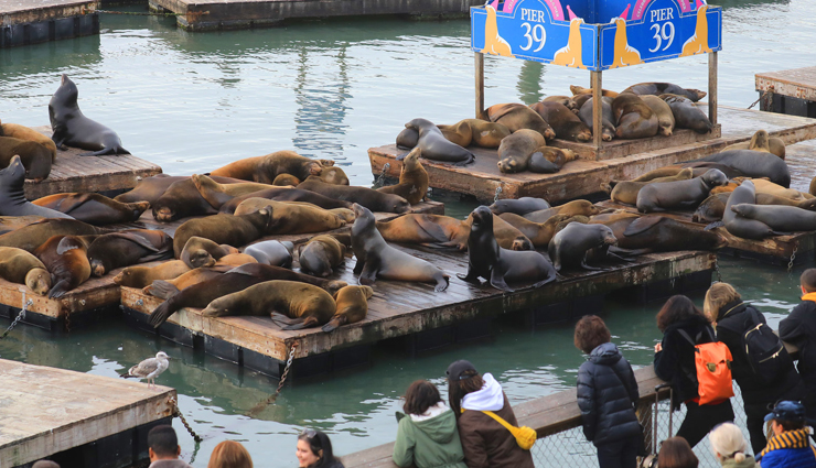 san francisco,places to visit in san francisco,things not to miss in san francisco