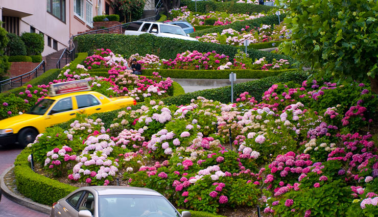 san francisco,pacific ocean,holidays,travel,tourism