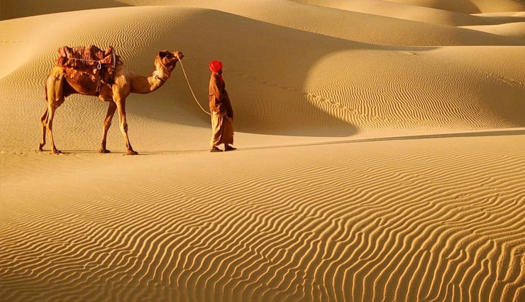 6 Reasons Why Sand Dunes Jaisalmer Should Be on Your Must Visit List