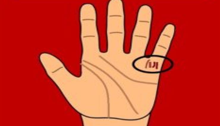 हाथों की रेखाएं बताएगी होने वाले संतान की संख्या, जानें कैसे लगाए इसका पता