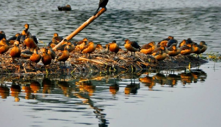 beautiful lakes in west bengal,mirik lake,jore pokhri lake,senchal lake,rasikbil lake,rabindra sarovar lake,santragachhi jheel,motijhil lake,benuka lake,amarabati lake,kolkata lake,kapil muni temple lake,samsing lake,bethuadahari lake,tajpur lake,west bengal tourism,scenic lakes,nature in west bengal,boating in west bengal lakes,top lakes to visit in west bengal