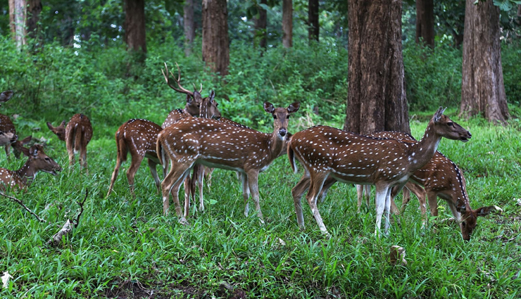 bethlehem,things to do in bethlehem,attractions in bethlehem,places to visit in bethlehem,travel,tourism,holidays,foreign places to visit