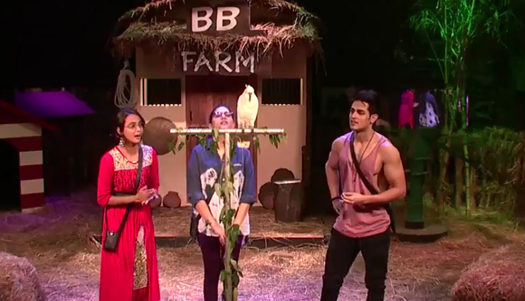 bigg boss 11,Salman Khan,sapna chaudhary,jyoti kumari,hina khan,arshi,puneesh sharma