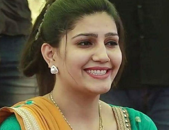 बिग बॉस 11 : WOW फिल्म के बाद सपना के हाथ लगा यह टीवी सीरियल