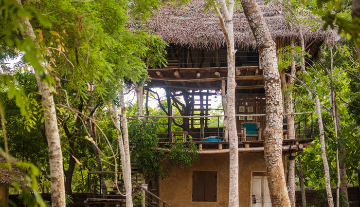 treehouses,amazing treehouse in sri lanka,tree houses in sri lanka,best tree houses in sri lanka,treehouse hotel in sri lanka,treehouses in the south,luxury tree houses in sri lanka,treehouses near me,romantic treehouse near me,travel,sri lanka tourism,holidays in sri lanka,sri lanka travel tips