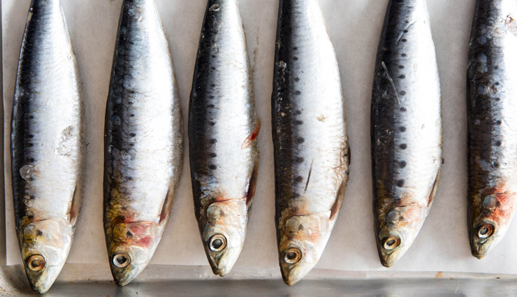 strong bones,food to get strong bones,bones,Health,Health tips