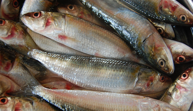 superfoods for cough relief,winter cough remedies,foods for treating cough in winter,ginger for cough,garlic for cold,chicken soup for cough,citrus fruits for cold relief,turmeric milk for cough,sardines for immunity,mushrooms for cough treatment,boost immune system during winter,natural remedies for cough,best foods for respiratory health,winter wellness superfoods