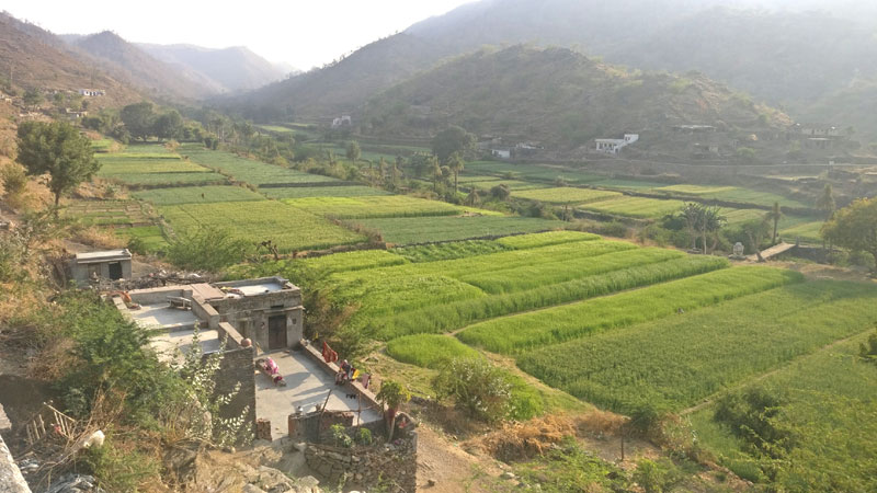 satpuliya,solar power