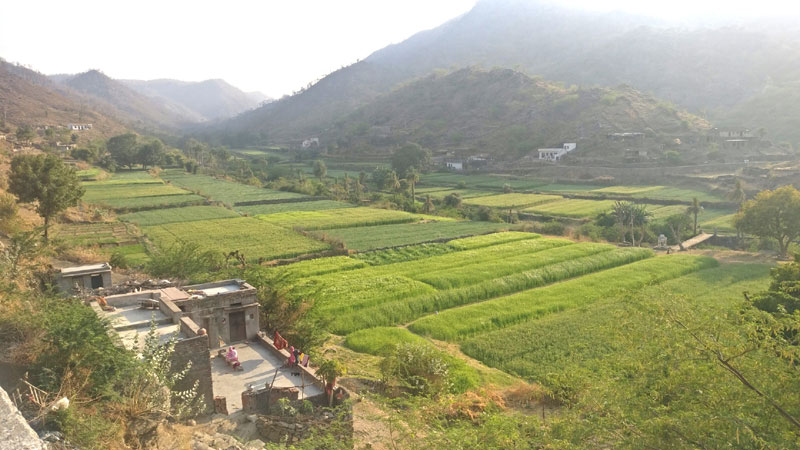 satpuliya,solar power