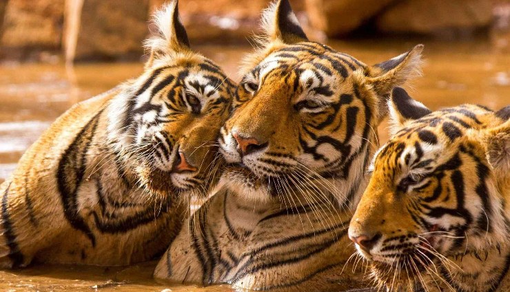 weekend getaways from delhi,places to visit near delhi,short trips from delhi,delhi weekend trips,hill stations near delhi,travel destinations near delhi,quick escapes from delhi,weekend travel ideas,best road trips from delhi,adventure getaways near delhi