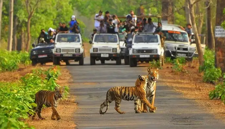 national parks you can visit in rajasthan,rajasthan tourism,rajasthan travel