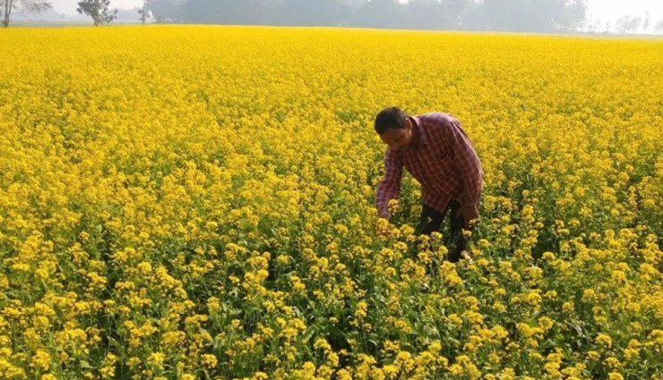 राजस्थान : किसानों के लिए खुशियां लेकर आई बारिश, बचेंगे रबी की फसल में एक बार सिंचाई के 100 करोड़ रुपए