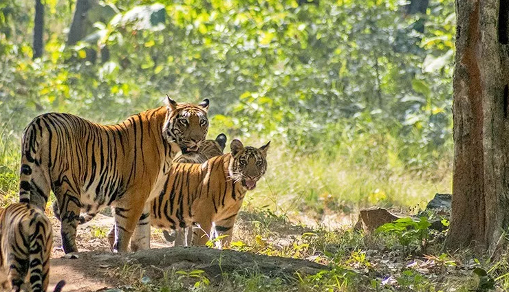 national parks of the country to see extinct animals,holidays,travel,tourism