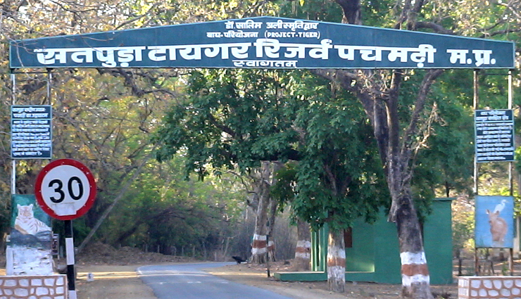 वाइल्डलाइफ फोटोग्राफर्स के लिए किसी जन्नत से कम नहीं है भारत की ये 10 जगहें, विदेशों से भी आते है लोग wildlife photography in india,best places for wildlife photography,wildlife photography destinations in india,top wildlife photography spots in india,wildlife photography tips,indian wildlife photography hotspots,wildlife sanctuaries in india,national parks for photography in india,wildlife photography tours in india,indian wildlife photography guide,best locations for wildlife photography in india,wildlife photography in western ghats,tiger photography in india,bird photography in india