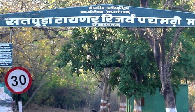 tourist attractions near bhopal,must-visit places near bhopal,raisen fort,bijasan mata temple,halali dam,udayagiri caves,great stupa sanchi,marine drive bhopal,bori wildlife sanctuary,satpura national park