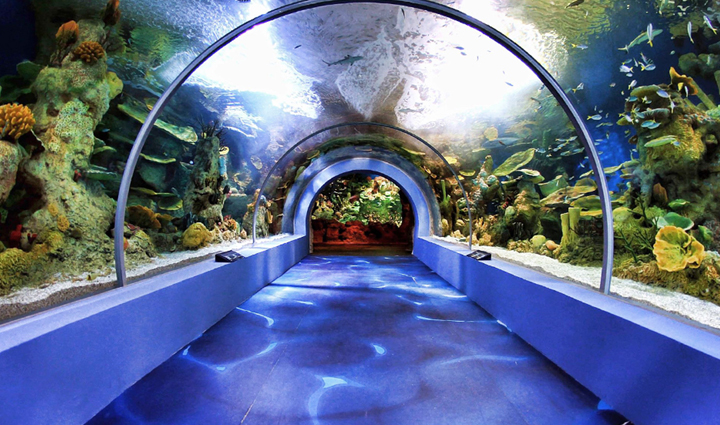 saudi arabia tourism,adventure travel saudi arabia,scenic destinations saudi arabia,saudi arabia travel guide,tourist attractions saudi arabia,explore saudi arabia,travel adventures saudi arabia,holiday destinations saudi arabia,saudi arabia sightseeing,cultural experiences saudi arabia,hidden gems saudi arabia,saudi arabia vacation spots,outdoor adventures saudi arabia,historic landmarks saudi arabia,natural wonders saudi arabia