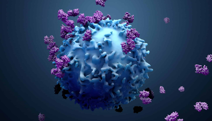 sauerkraut origins,german sauerkraut history,fermented cabbage dish,lactic acid bacteria benefits,sauerkraut health benefits,traditional german cuisine,sauerkraut in european cuisines,tangy cabbage dish,sauerkraut nutritional benefits,homemade sauerkraut recipe