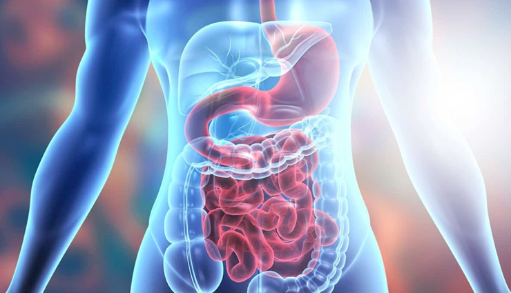 sauerkraut origins,german sauerkraut history,fermented cabbage dish,lactic acid bacteria benefits,sauerkraut health benefits,traditional german cuisine,sauerkraut in european cuisines,tangy cabbage dish,sauerkraut nutritional benefits,homemade sauerkraut recipe