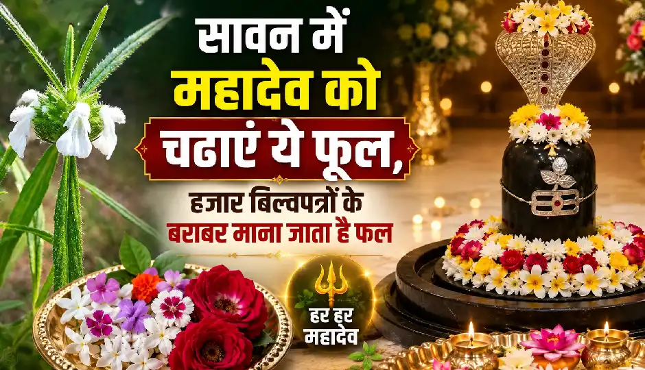 सावन में महादेव को चढ़ाएं ये खास फूल, एक फूल का फल माना जाता है हजार बिल्वपत्रों के बराबर