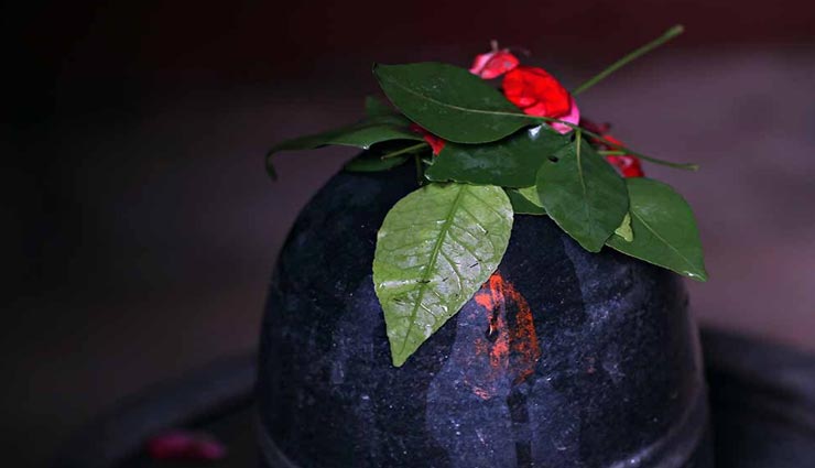 astrology tips,astrology tips in hindi,sawan pooja,mistakes during shiv worship