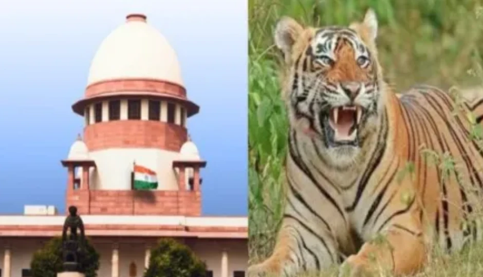 सरिस्का CTH ड्राफ्ट पर सुप्रीम कोर्ट सख्त: ASG को बताना होगा नियमों की अनदेखी क्यों हुई